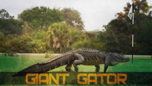 Giant Alligator In Florida