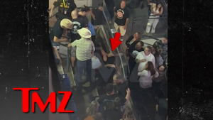 Fan Falls From Upper Deck During Mötley Crüe Concert